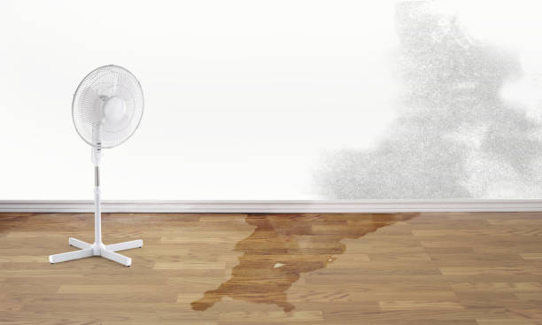 Best Emergency Water Extraction Services in Marietta, OK